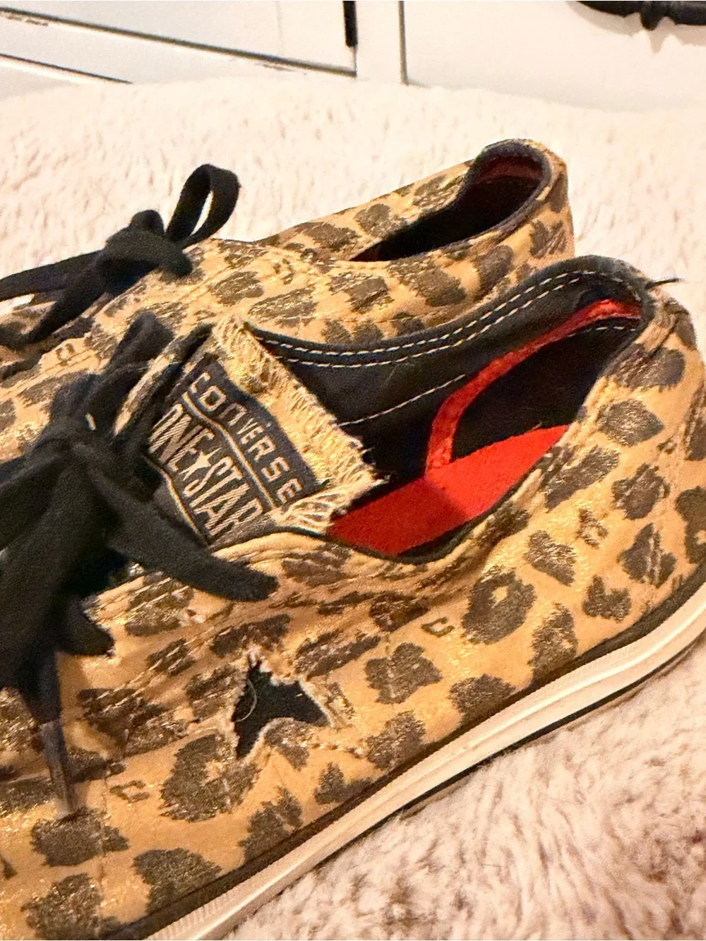 Cheetah converse